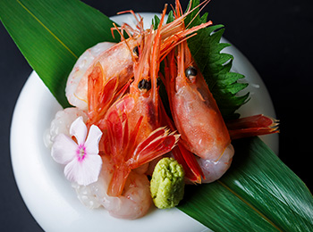 甘海老お造り イメージ