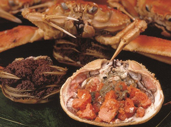 せいこ蟹 冬季限定 イメージ